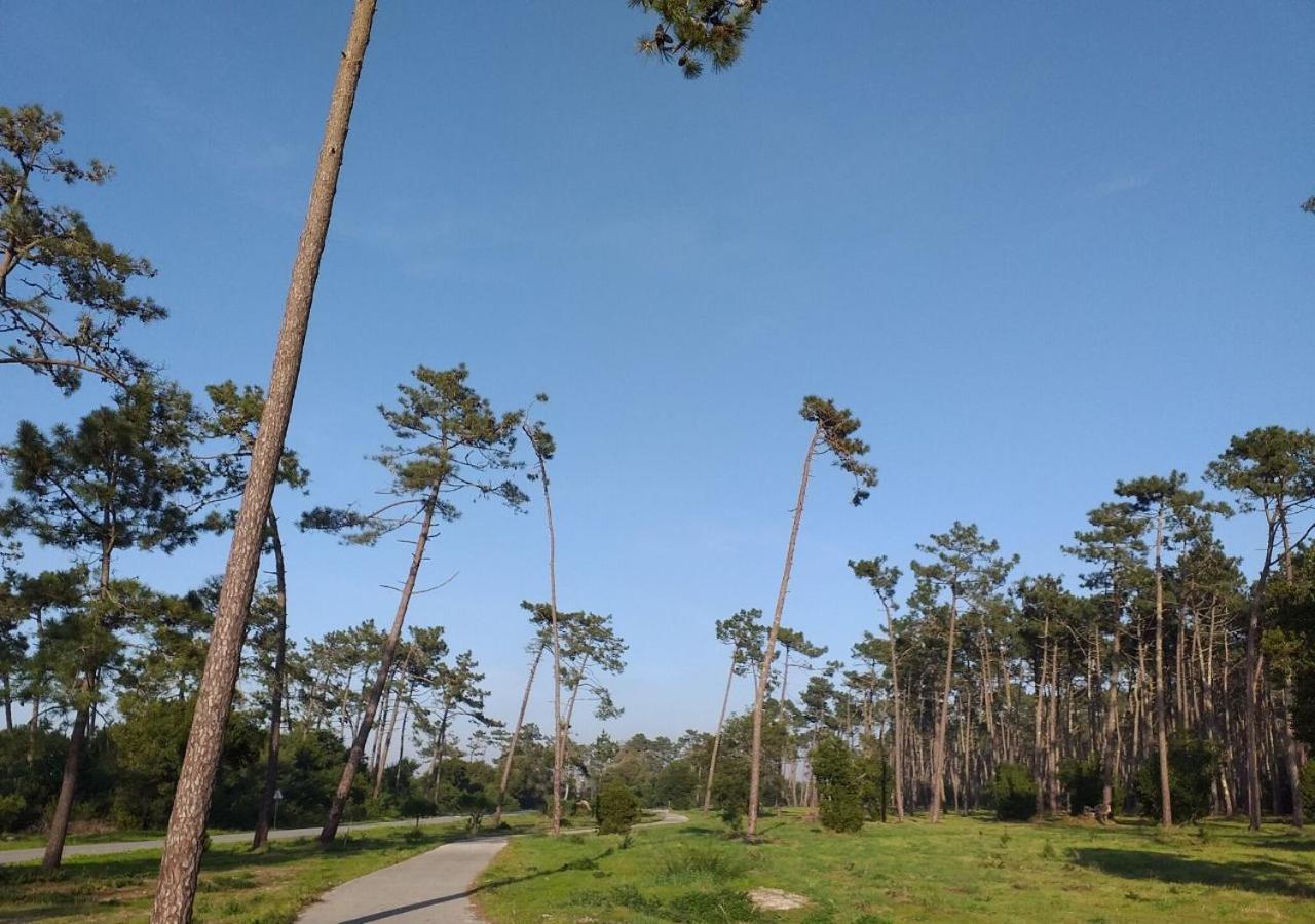 Greenside Of Sea Corujeira Zewnętrze zdjęcie